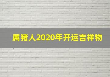 属猪人2020年开运吉祥物