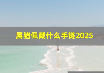 属猪佩戴什么手链2025