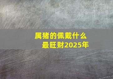 属猪的佩戴什么最旺财2025年