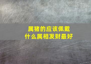 属猪的应该佩戴什么属相发财最好