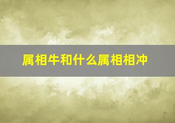 属相牛和什么属相相冲