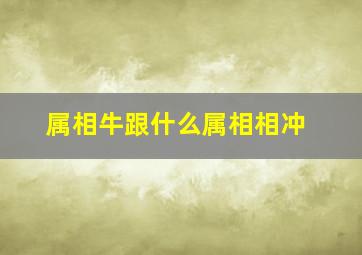 属相牛跟什么属相相冲