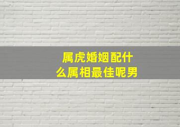 属虎婚姻配什么属相最佳呢男