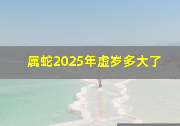 属蛇2025年虚岁多大了