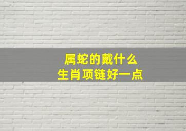 属蛇的戴什么生肖项链好一点