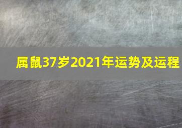 属鼠37岁2021年运势及运程