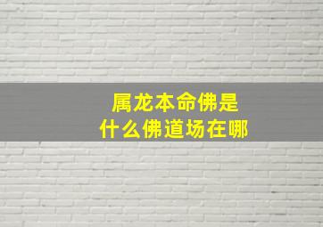 属龙本命佛是什么佛道场在哪