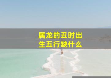 属龙的丑时出生五行缺什么