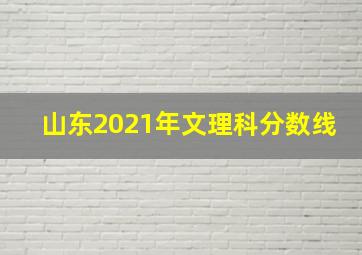 山东2021年文理科分数线