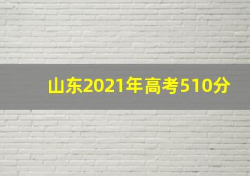 山东2021年高考510分