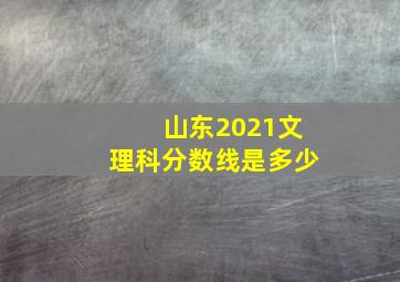 山东2021文理科分数线是多少