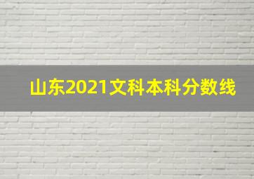 山东2021文科本科分数线