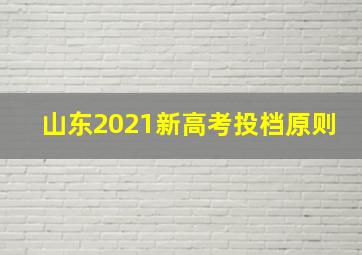 山东2021新高考投档原则