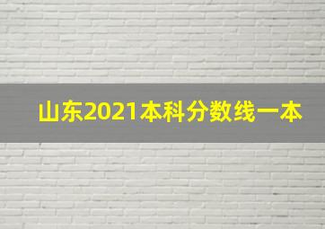 山东2021本科分数线一本