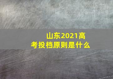 山东2021高考投档原则是什么