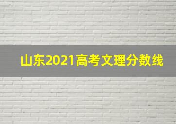 山东2021高考文理分数线