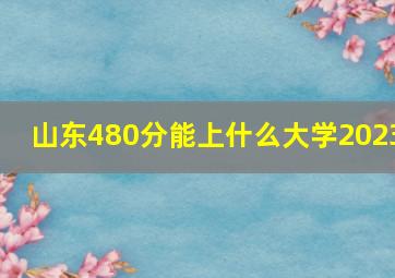 山东480分能上什么大学2023