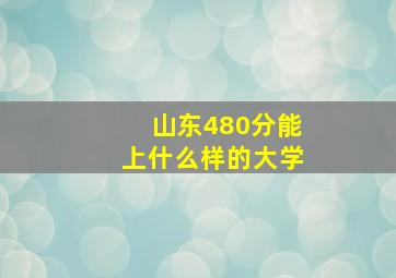 山东480分能上什么样的大学