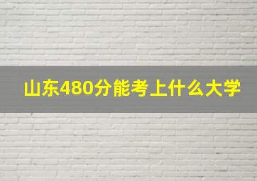 山东480分能考上什么大学