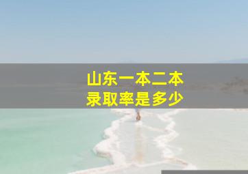 山东一本二本录取率是多少