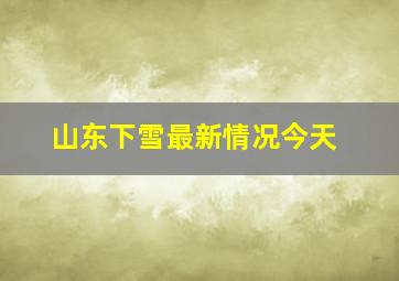 山东下雪最新情况今天