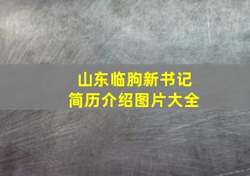 山东临朐新书记简历介绍图片大全