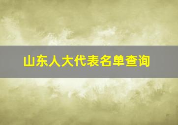 山东人大代表名单查询