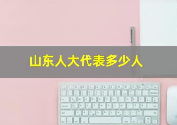 山东人大代表多少人