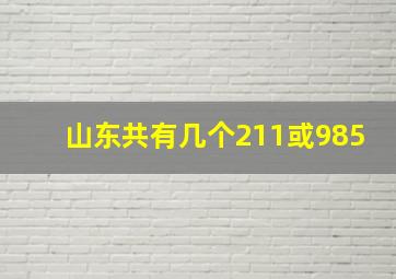 山东共有几个211或985