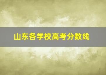 山东各学校高考分数线