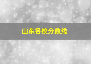 山东各校分数线