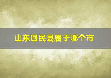 山东回民县属于哪个市