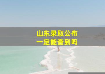 山东录取公布一定能查到吗