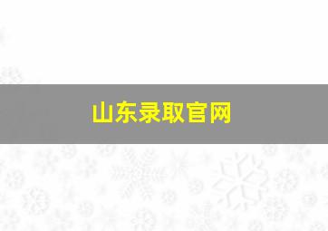 山东录取官网