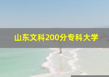 山东文科200分专科大学