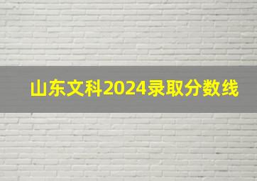 山东文科2024录取分数线