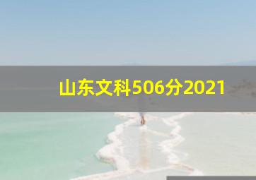 山东文科506分2021