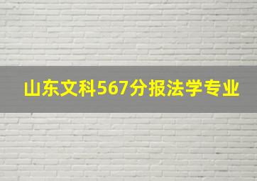 山东文科567分报法学专业