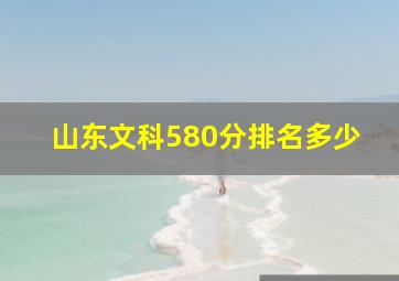 山东文科580分排名多少