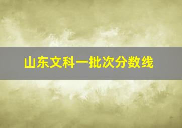 山东文科一批次分数线