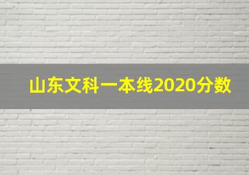 山东文科一本线2020分数