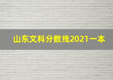 山东文科分数线2021一本