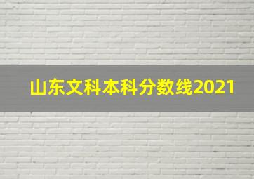 山东文科本科分数线2021