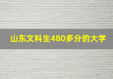 山东文科生480多分的大学