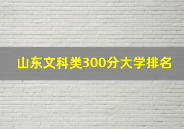 山东文科类300分大学排名