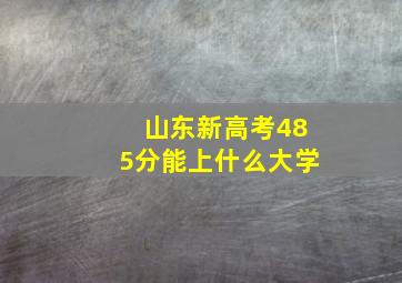 山东新高考485分能上什么大学