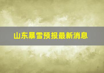 山东暴雪预报最新消息