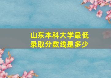 山东本科大学最低录取分数线是多少