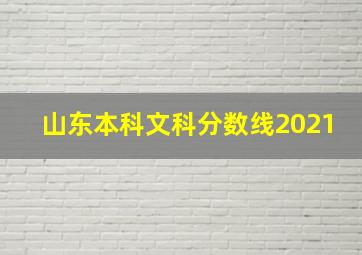 山东本科文科分数线2021