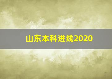 山东本科进线2020